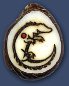 Alligator