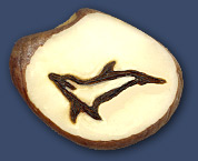 Dolphin Dolphin