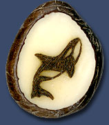 Orca
