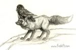 Fox Feathers Fox Feathers