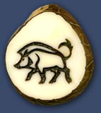 Wild Boar Wild Boar