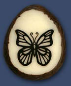 Butterfly Butterfly