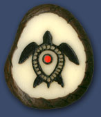 Turtle Turtle