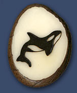 Orca Orca