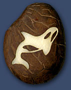 Orca (Carved) Orca (Carved)