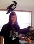 Crow Hat Crow Hat