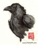 Raven Black Raven Black