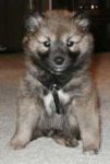 From day one: All sass. From day one: All sass.