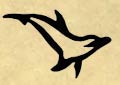 Dolphin Dolphin