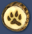 Ferret Pawprint Ferret Pawprint