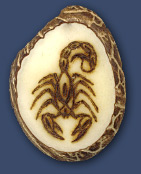 Scorpion Scorpion
