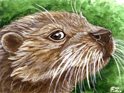 Otter