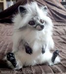 Tilki - Fox Doll Tilki - Fox Doll