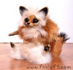 Baako the Fennec Fox Baako the Fennec Fox